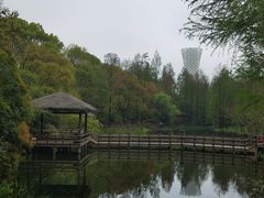 -上海滨江森林公园