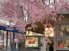 -首开·龙湖成都西宸天街