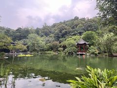 -云溪植物园