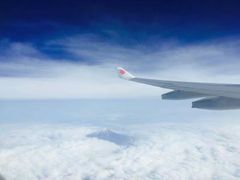 -筑地玉寿司(銀座コア店)