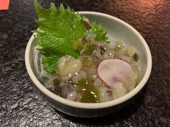 喜寿司-喜寿司(金狮广场店)