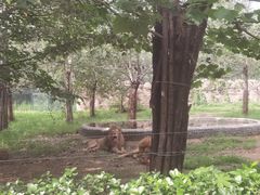 -秦皇岛野生动物园