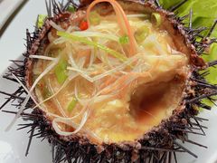 海胆蒸蛋-海香园饭店