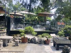 -蘇河湾·新鲁菜·泰山宴(泰山店)