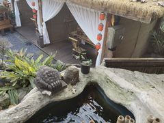 -伴山茶苑·围炉煮茶