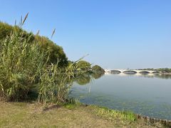 -长广溪湿地公园
