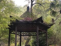 -岳麓山风景名胜区