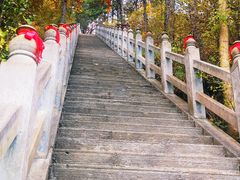 -塔云山