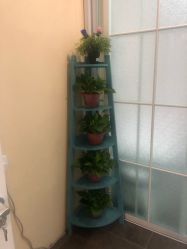 -薇兰专业脱毛连锁机构