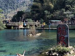 -靖西鹅泉风景区