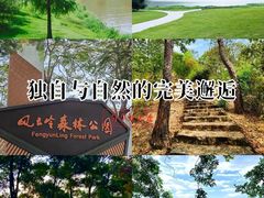 -风云岭森林公园