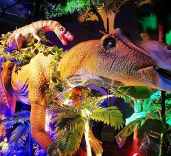 -恐龙探索乐园(磁器口店)