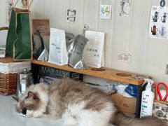 -灯塔咖啡馆BOOK·Coffee Shop