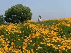 -良渚古城遗址公园