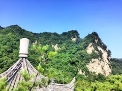 -王顺山国家森林公园