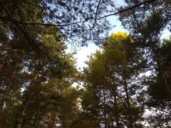 景点-帽儿山国家森林公园