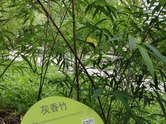 -晓港公园