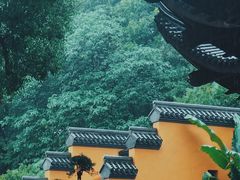 -知味观(湖滨总店)