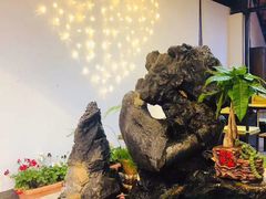 -蘑统田下·野生菌火锅