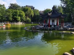 -莲湖公园
