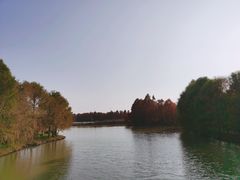 -上海海湾国家森林公园