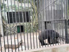 -保定市动物园