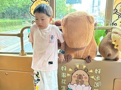 -南昌之星摩天轮