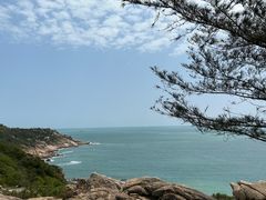 -广东惠东海龟国家级自然保护区