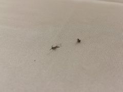 -合晋食府(广州合晋帝苑酒店)