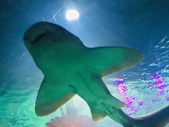 -沈阳海洋探索中心