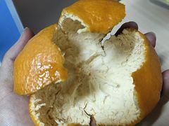 -黄河佬·油泼大鲤鱼.延安头牌菜(百米大道店)