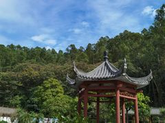 -广州神农草堂中医药博物馆