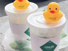 海底椰手打柠檬茶-LINLEE林里·手打柠檬茶(黄浦茂名南路店)