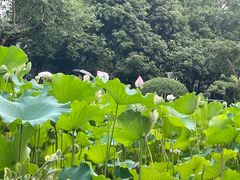 -莹珠阁·私房菜