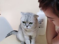 -李小姐の猫咖啡馆(五角场店)