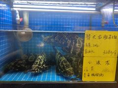 -醉壹号海鲜大排档(厦门美食地标店)