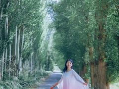 -金塔沙漠胡杨林景区