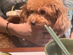 -Thai Basil罗勒叶泰式餐厅(时代天街店)