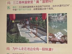 -三江森林温泉度假区