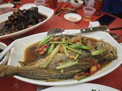 -日日香卤鹅饭店·澄海狮头鹅(澄海店)