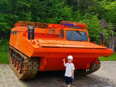 -五营红松林海景区