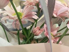 -六月花园咖啡馆(中关村东路店)