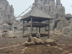 -石家庄市动物园