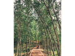 -淇河国家湿地公园