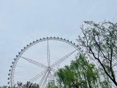 -祥源·阜阳生态乐园