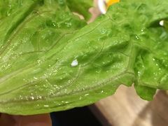 -好牛烧肉(世茂广场店)