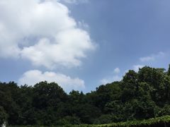 -大塘金香草谷