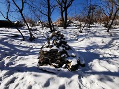 -帽儿山国家森林公园