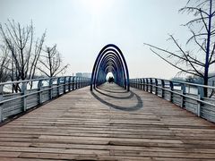 -大兴滨河森林公园