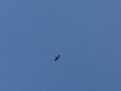 -星巴克(成都科学城店)